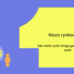 Jak znaleźć lukę na przesycenie rynku? Grafika pokazuje, że małe rynki mogą generować wielkie zyski.