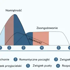 Wykres pokazuje ewolucję związku: od zakochania, przez namiętność, intymność, zaangażowanie, aż po rozpad. Jak przygotować mapę relacji dla wielowątkowej sagi.