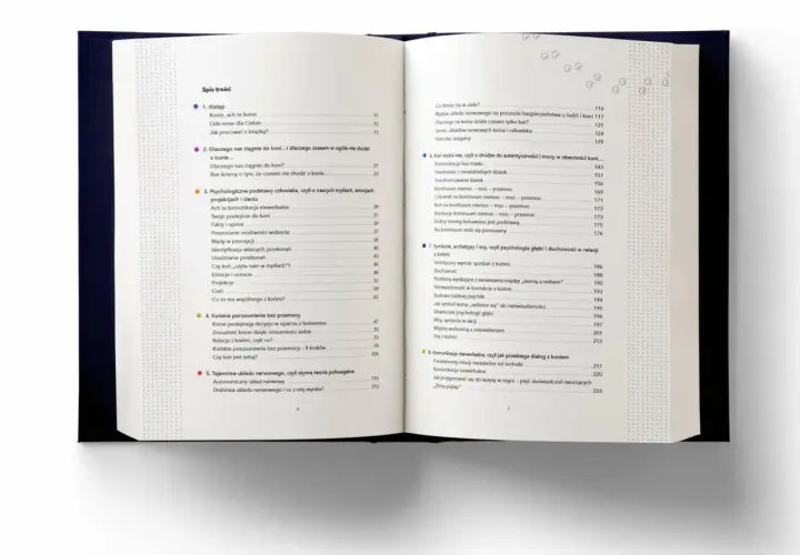 Spis treści książki o koniach. Rozdział 3 omawia psychologiczne podstawy, czyli skutki nadmiernego psychologizowania postaci kosztem akcji powieści.