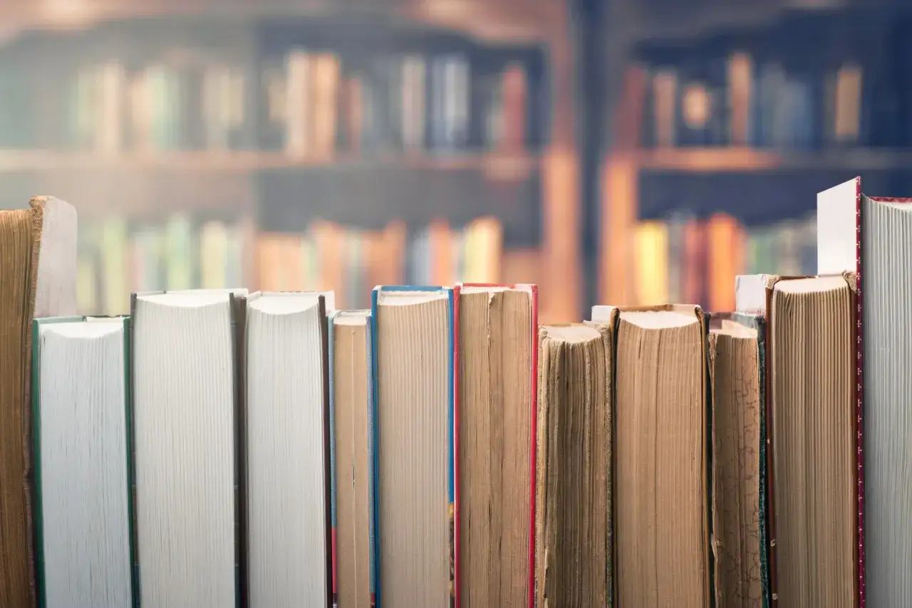 Różnica między literaturą piękną a gatunkową zaciera się, gdy patrzymy na grzbiety książek w bibliotece.