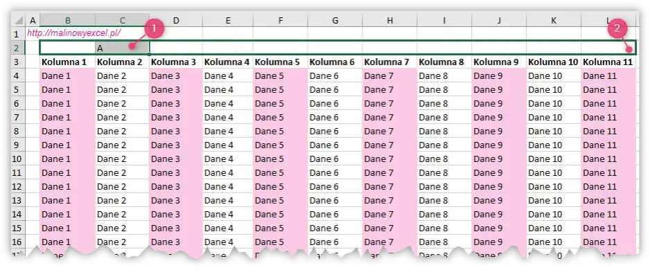 Zdjęcie Jak szybko usunąć część tekstu z komórki w Excel: 5 prostych metod